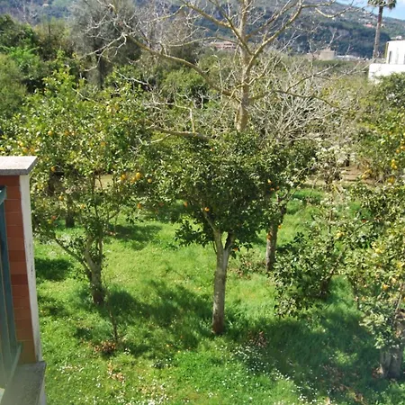 Antelia's * Sorrento