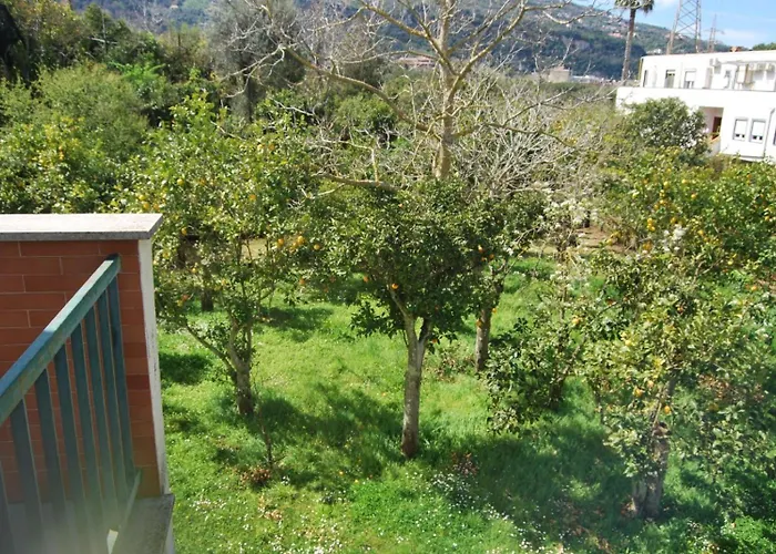 Antelia's * Sorrento